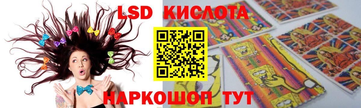 МЕГА   Вход с VPN  Шебекино  LSD-25 экстази ecstasy  LSD-25 экстази кислота  Лсд 25 экстази 