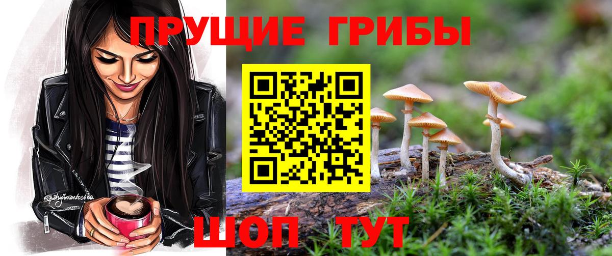 Шебекино  Галлюциногенные грибы MAGIC MUSHROOMS  Вход с VPN 